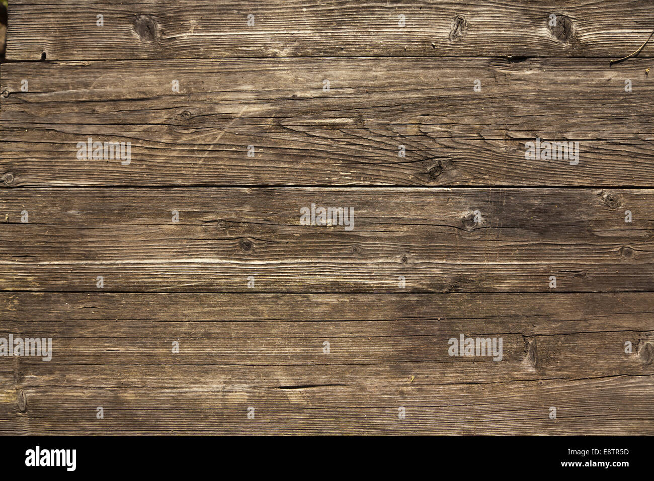 wooden background close up in nature Stock Photo