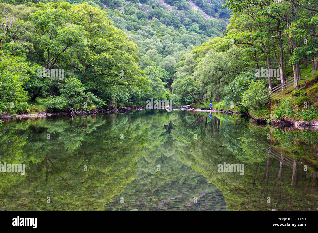 River Derwent; Peak District; Derbyshire; UK Stock Photo Alamy