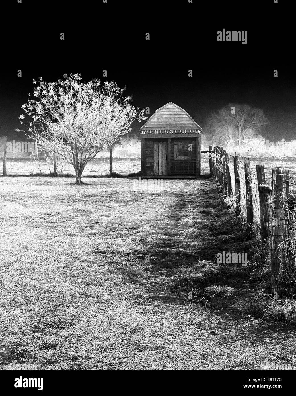 Infrared picture with trees, fence and small building Stock Photo