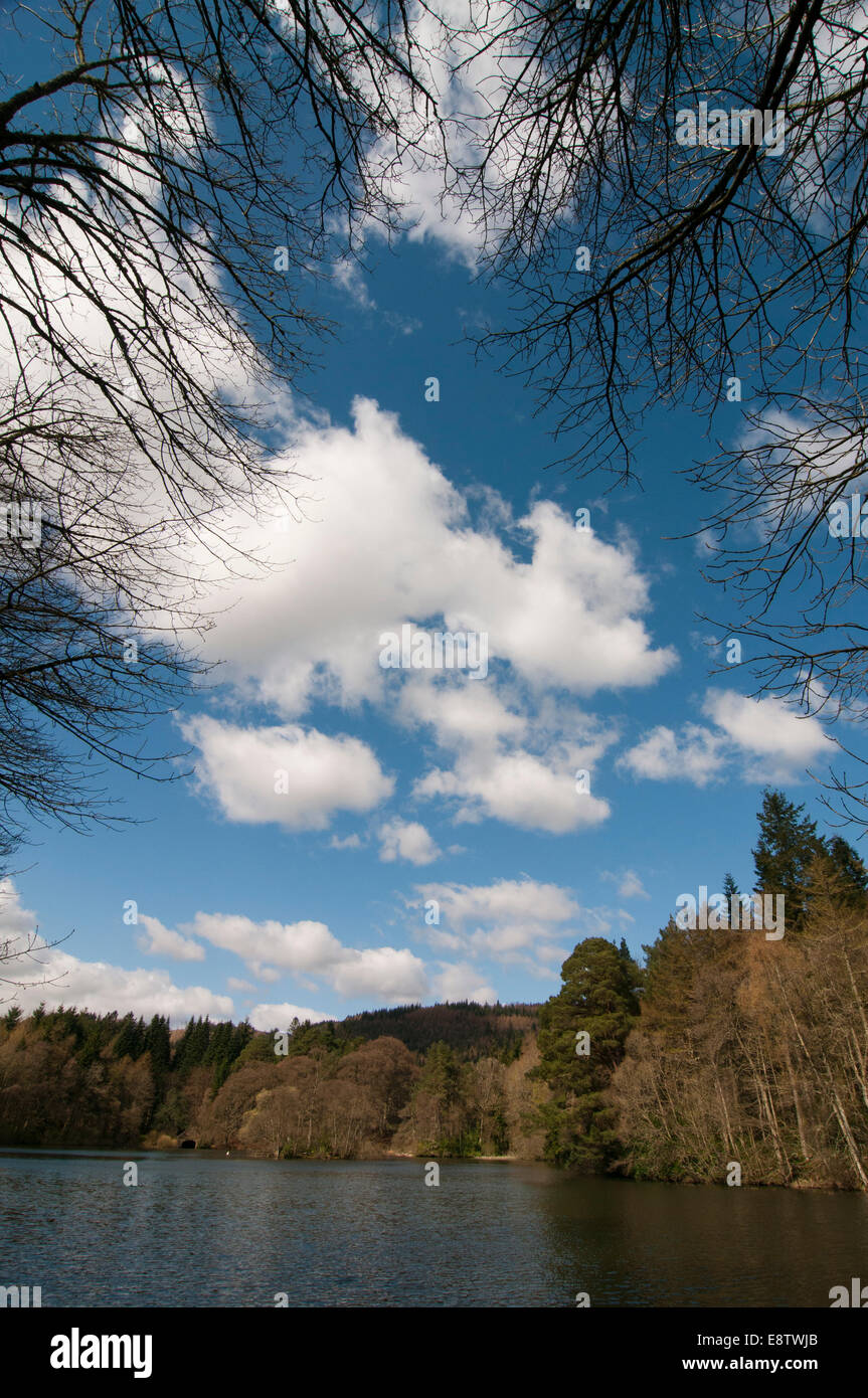 View across the lower loch, Bowhill, Selkirk Stock Photo