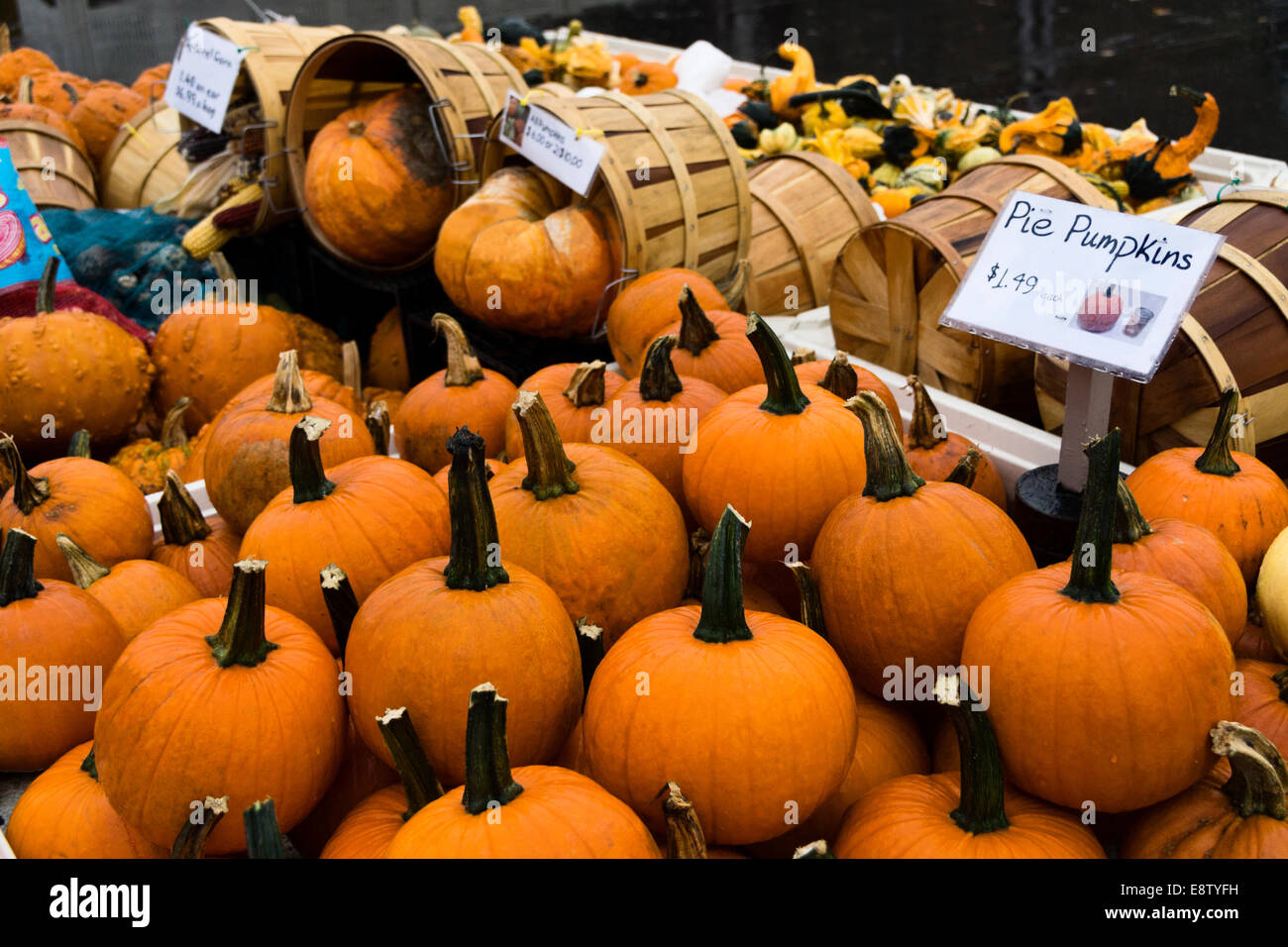 Pumpkins on display at an Illinois farm market Stock Photo - Alamy