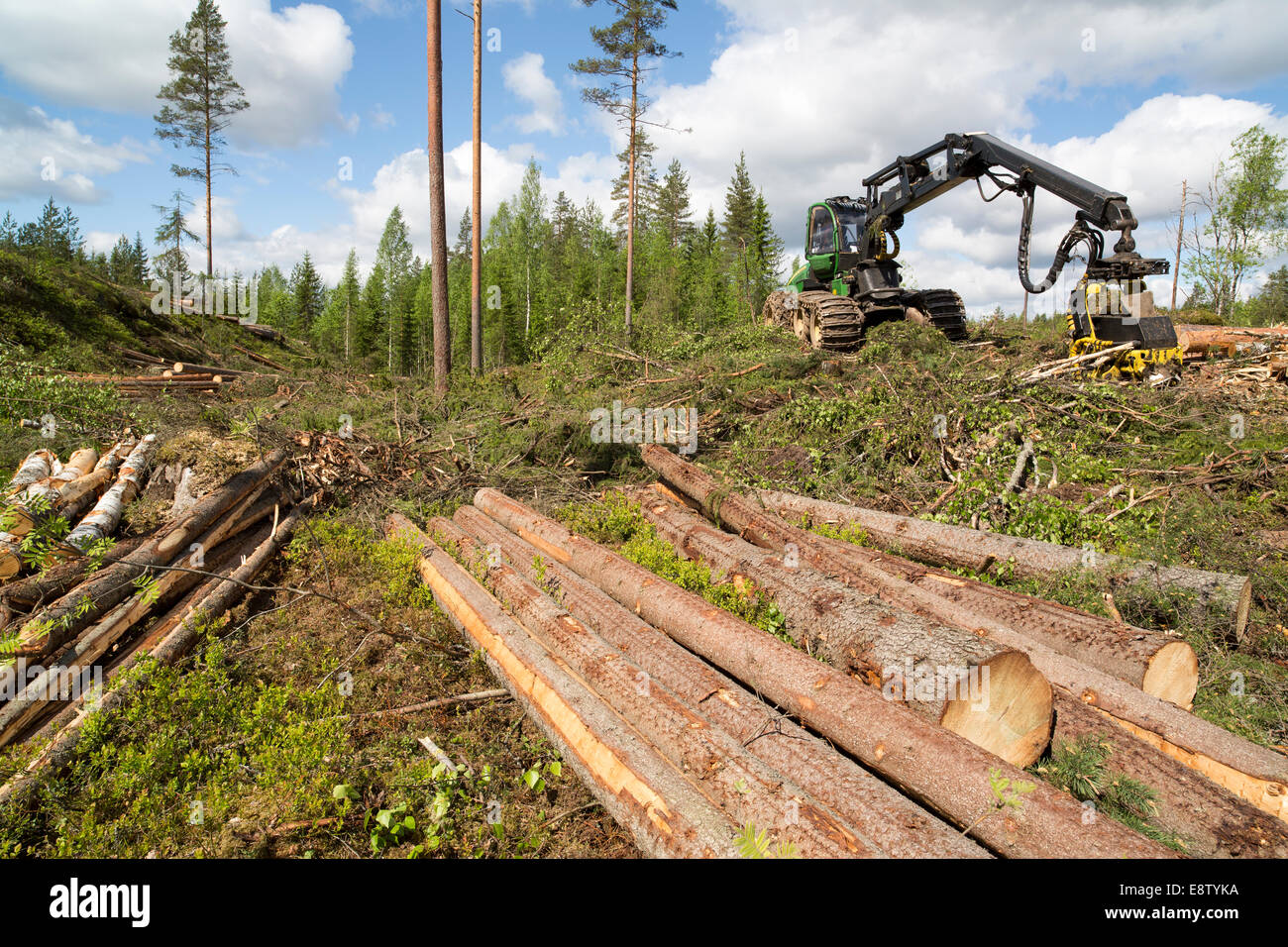 John Deere 1170E forest harvester and felled and bucked spruce logs at clear cutting area in the taiga forest , Finland Stock Photo