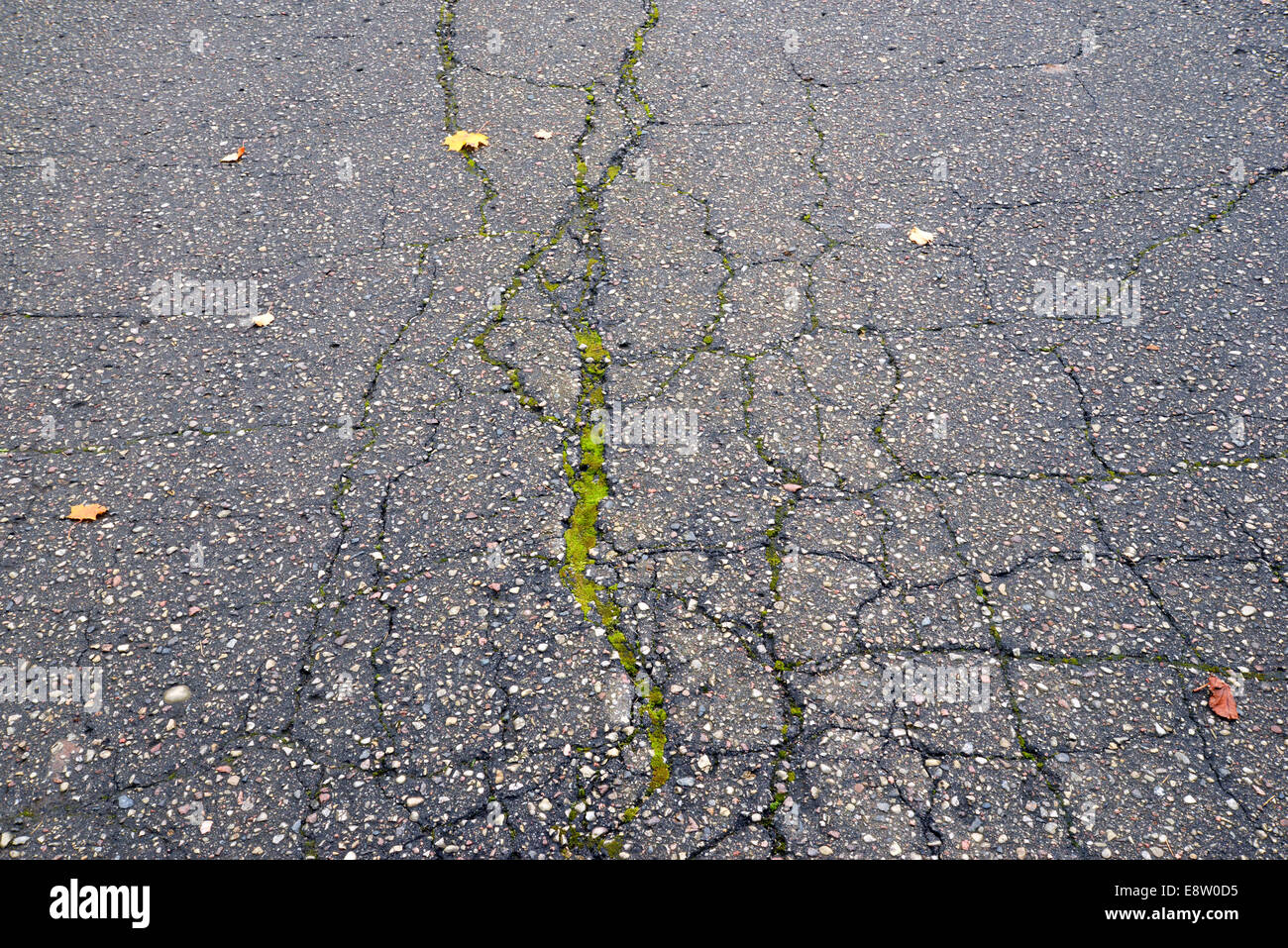 Asphalt Road Texture With A Crack Stock Photo Alamy