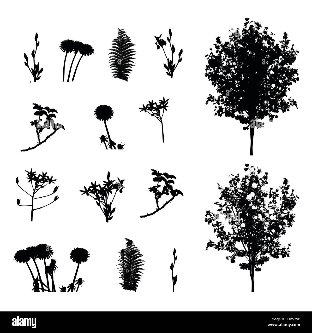 Set of Plant, Tree, Foliage Elements Silhouette Vector Illustration Stock Photo