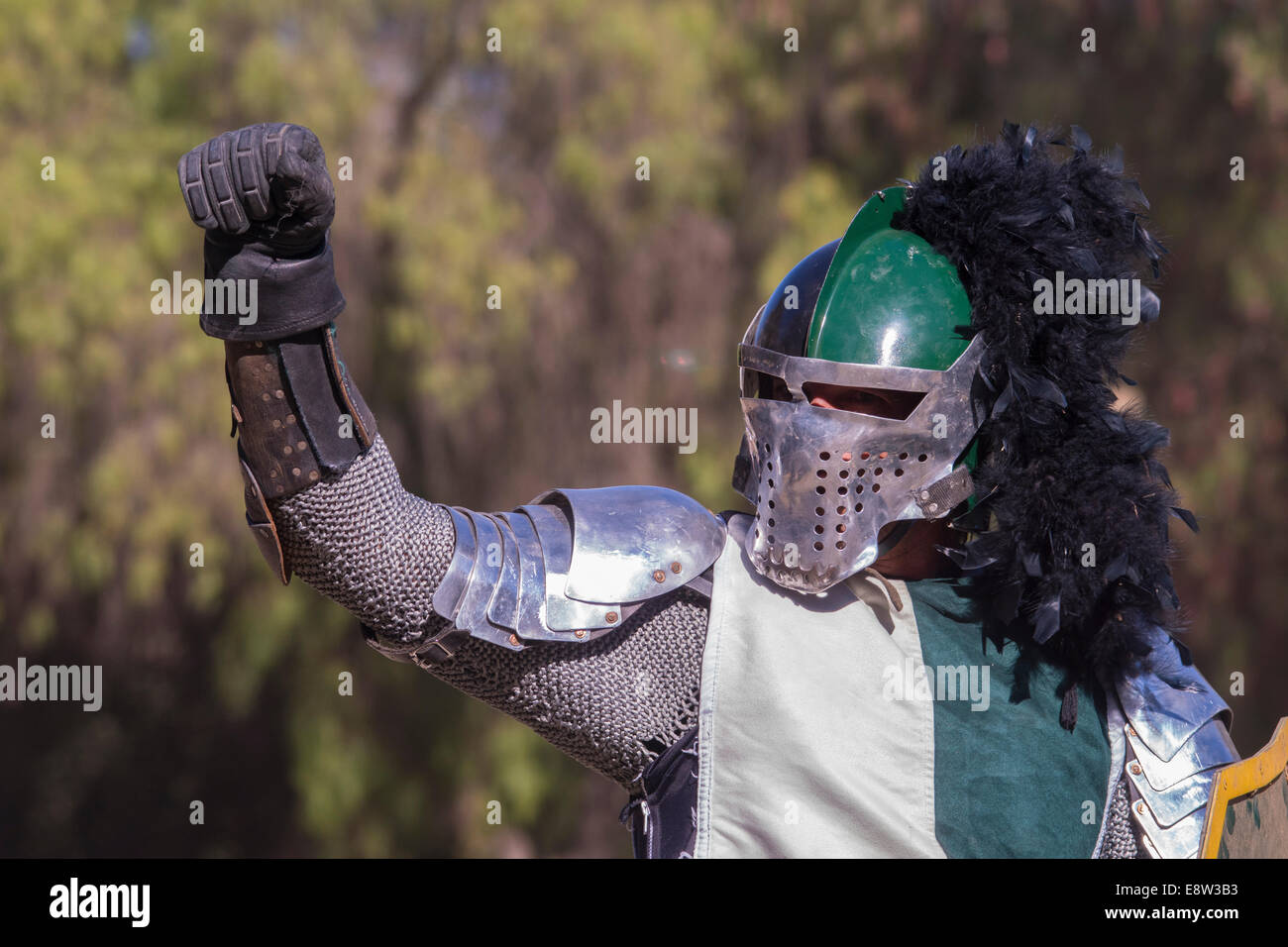 A Knight's victory Stock Photo