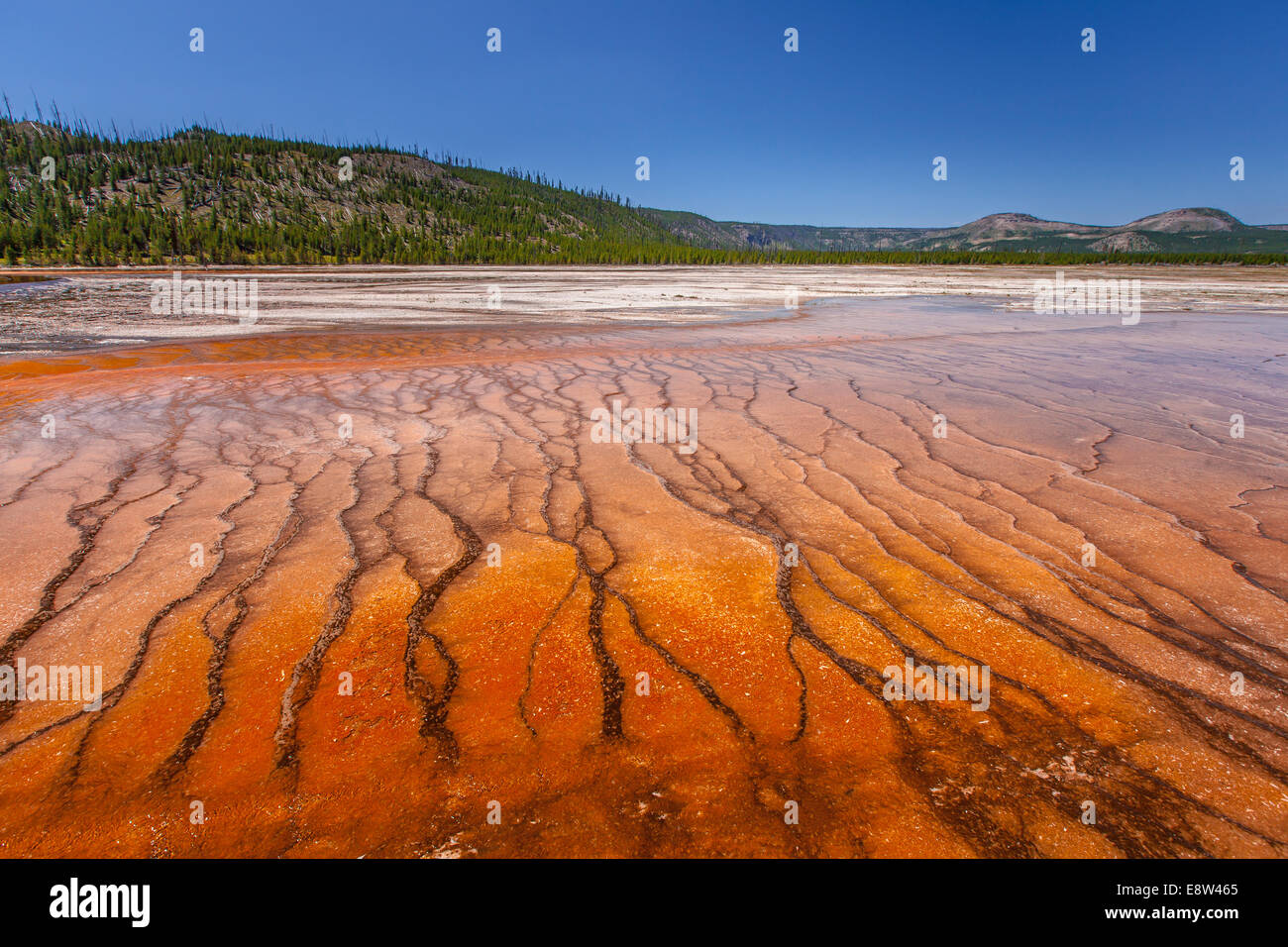 Yellowstone national park grand prismatic spring