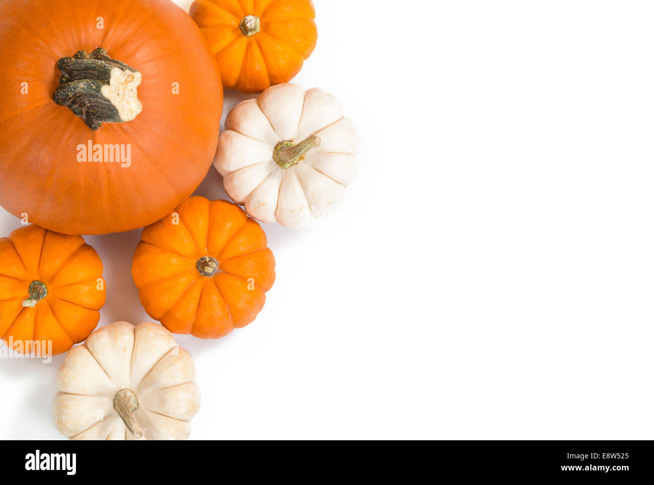 Pie pumpkin surrounded by mini pumpkins against white background, top view Stock Photo