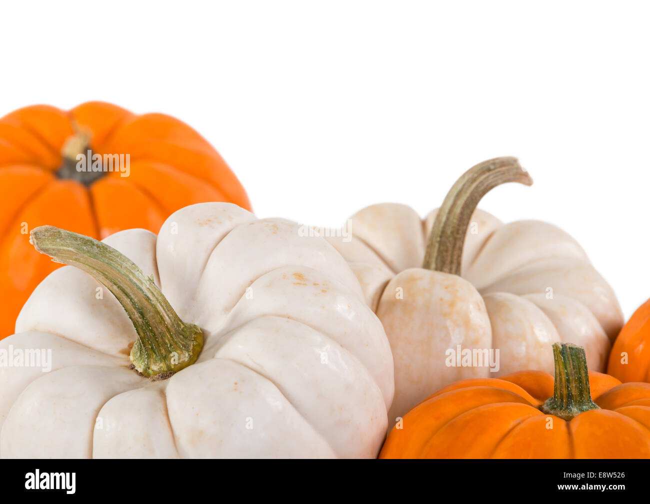 Closeup of mini pumpkins on white background Stock Photo