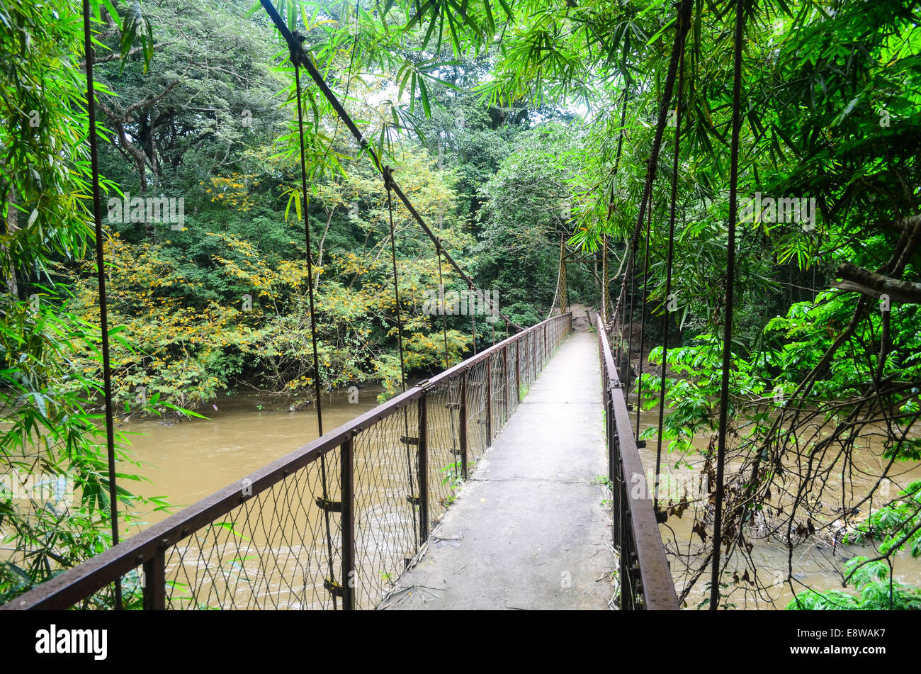 Suspension bridge at the Osun Sacred Grove, UNESCO site in Oshogbo, Nigeria, dedicated to the Yoruba goddess of fertility Stock Photo