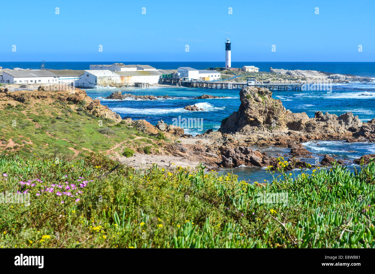 Lighthouse of Doring bay (Doringbaai) on the west coast of South Africa during the flower season Stock Photo