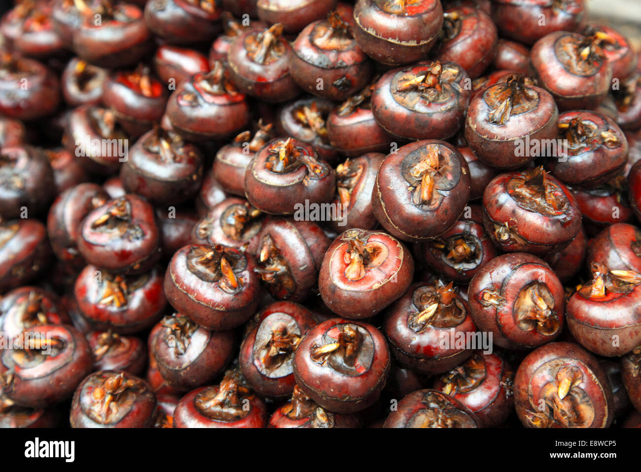 Fruit water chestnuts Stock Photo Alamy