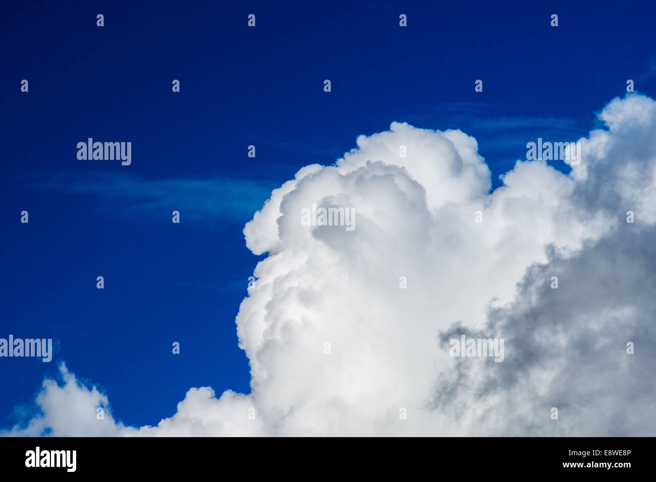 White cumulus cloud against the background of a deep blue sky Stock ...