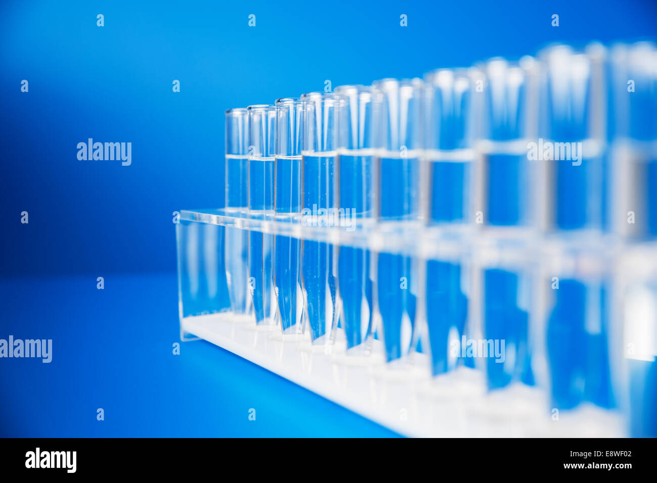 Rack of test tubes with solution on blue counter Stock Photo