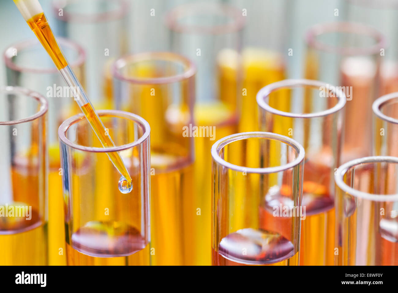 Close up of pipette dropping solution into test tube in rack in lab Stock Photo