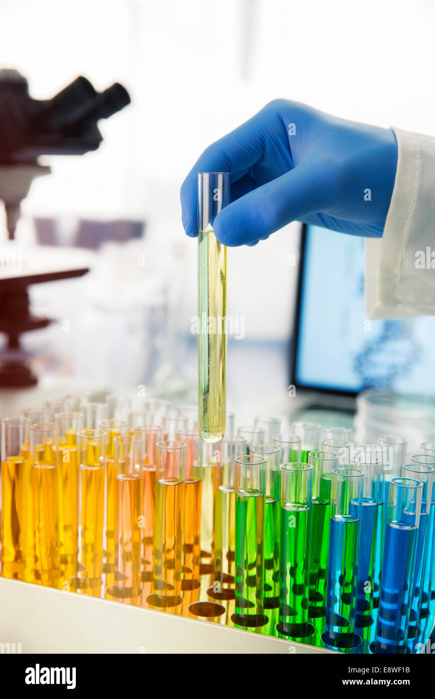 Scientist picking test tube out of rack on counter in lab Stock Photo