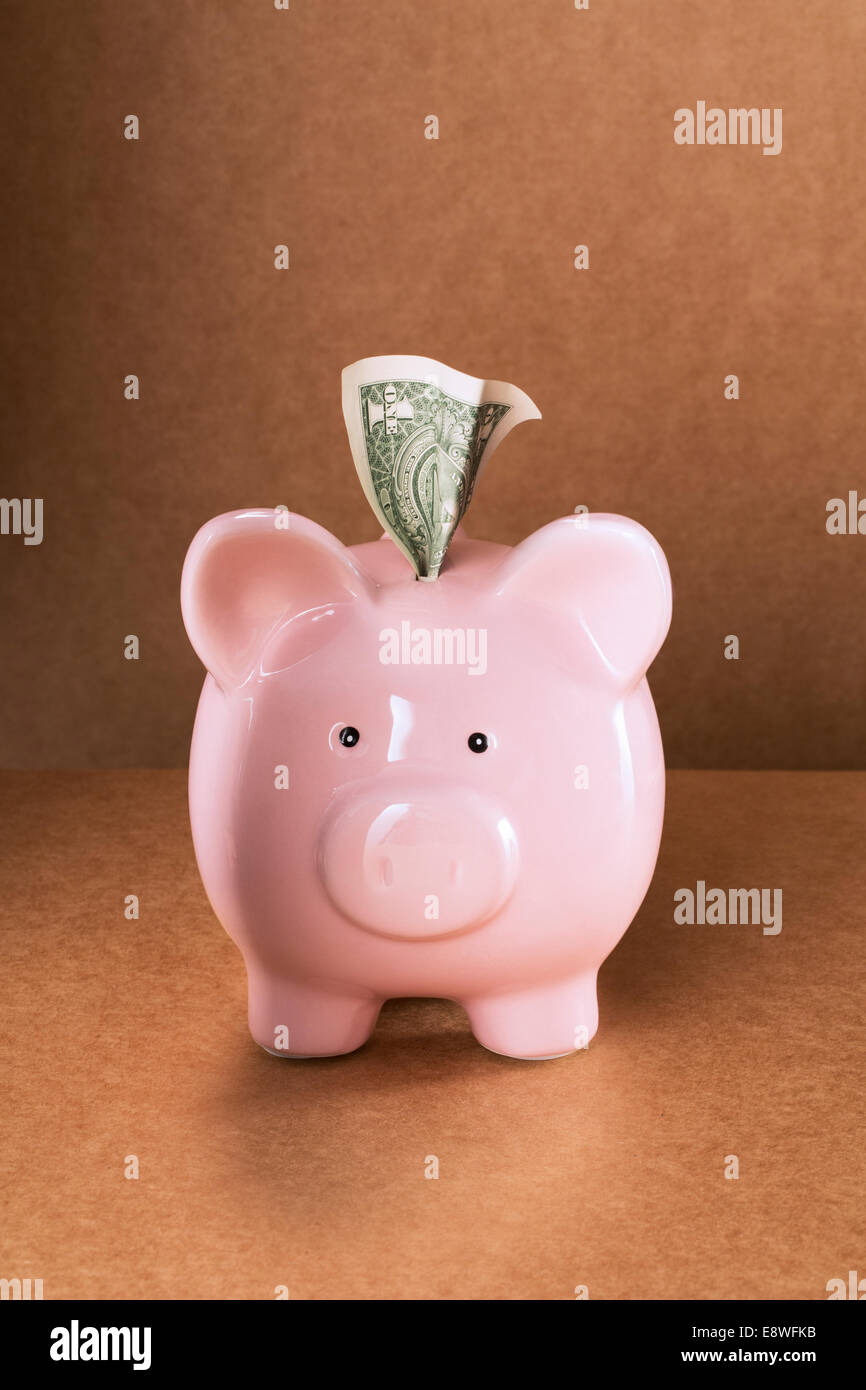Dollar sticking out of piggy bank on counter Stock Photo