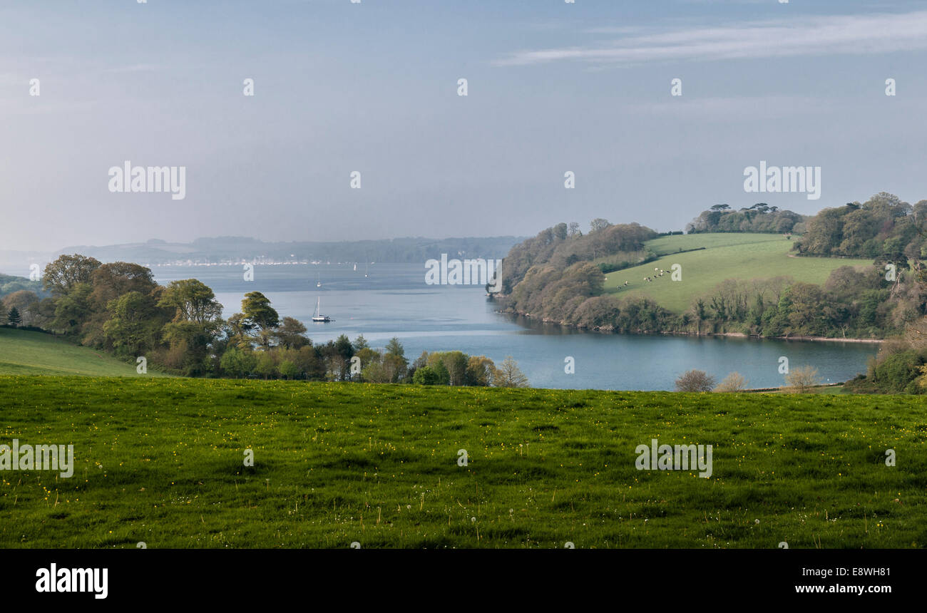Trelissick garden, Feock, Truro, Cornwall, UK. The view from the house in the early morning, looking down the River Fal estuary to the Carrick Roads Stock Photo