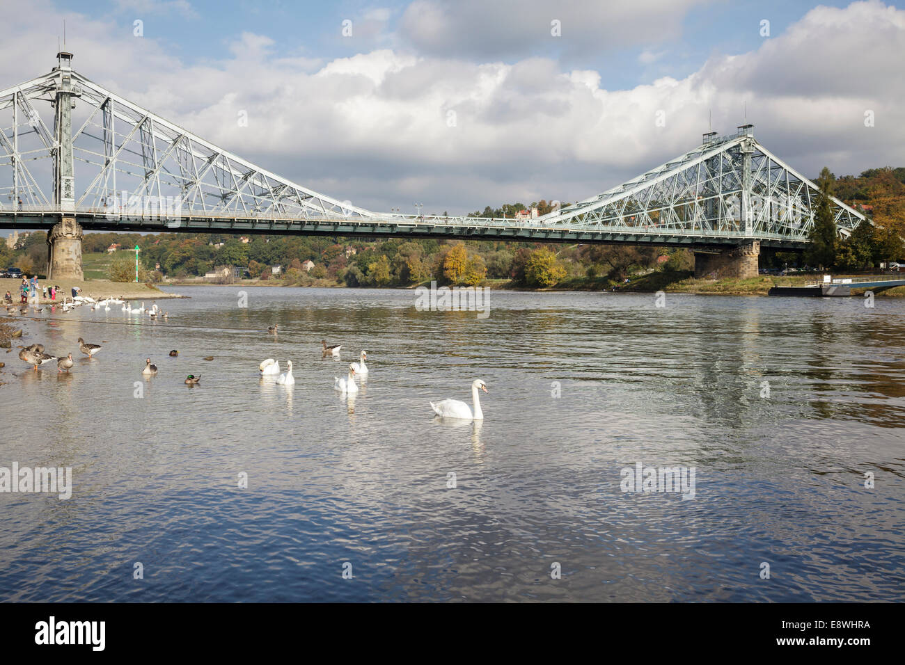 River Elbe and the Blaues Wunder bridge, Dresden, Saxony, Germany Stock Photo