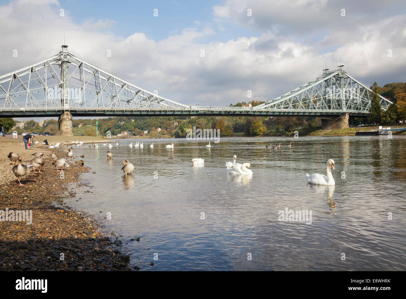 River Elbe and the Blaues Wunder bridge, Dresden, Saxony, Germany Stock Photo