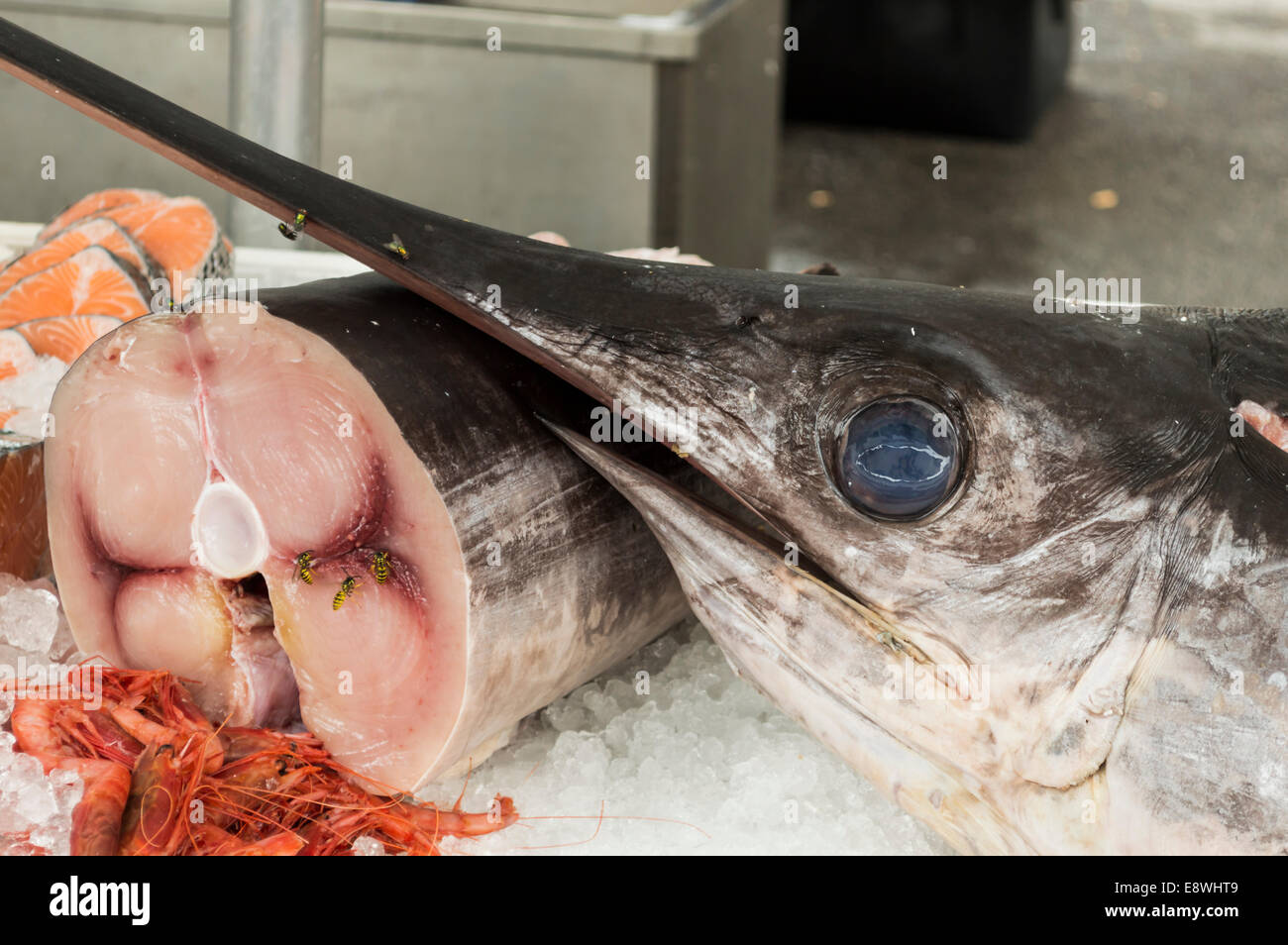 swordfish for sale at the fish market in Udine Italy Stock Photo