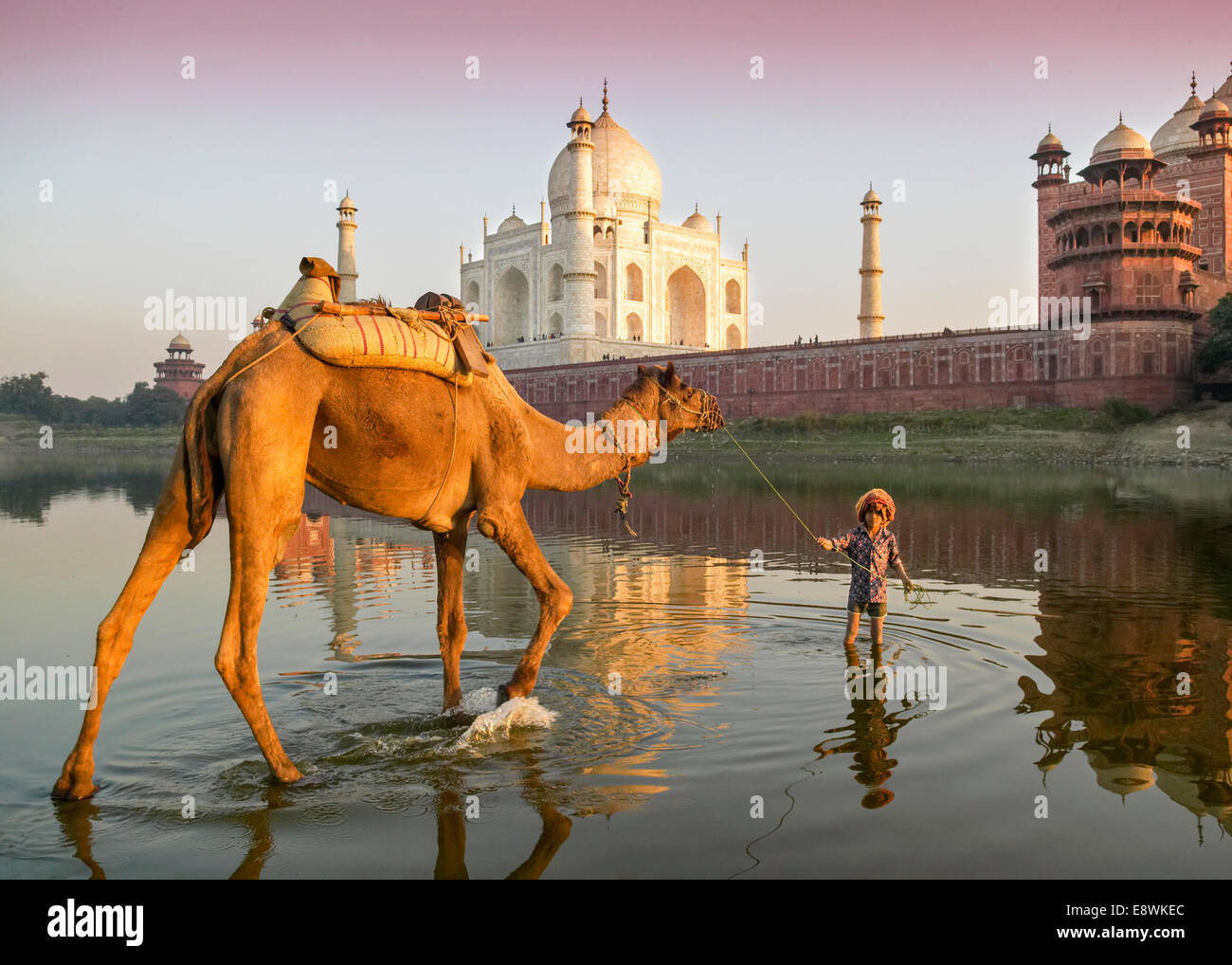 TAJ MAHAL AGRA INDIA CAMEL BOY WITH A CAMEL DRINKING THE WATER OF THE YAMUNA RIVER Stock Photo