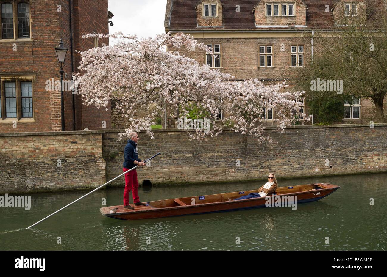 People out punting on the river Cam in Cambridge on a sunny spring day. March 17, 2014. Stock Photo