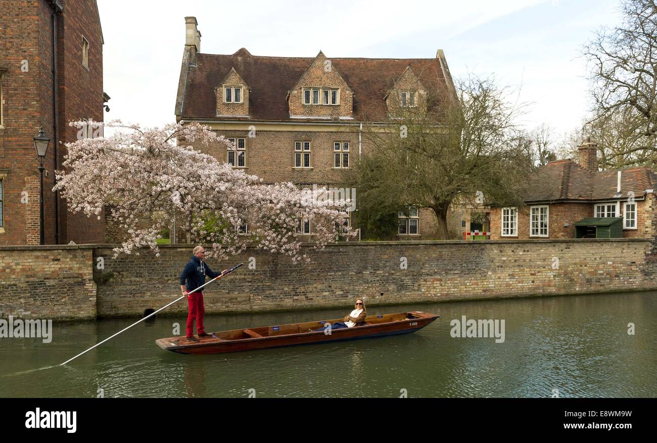 People out punting on the river Cam in Cambridge on a sunny spring day. March 17, 2014. Stock Photo