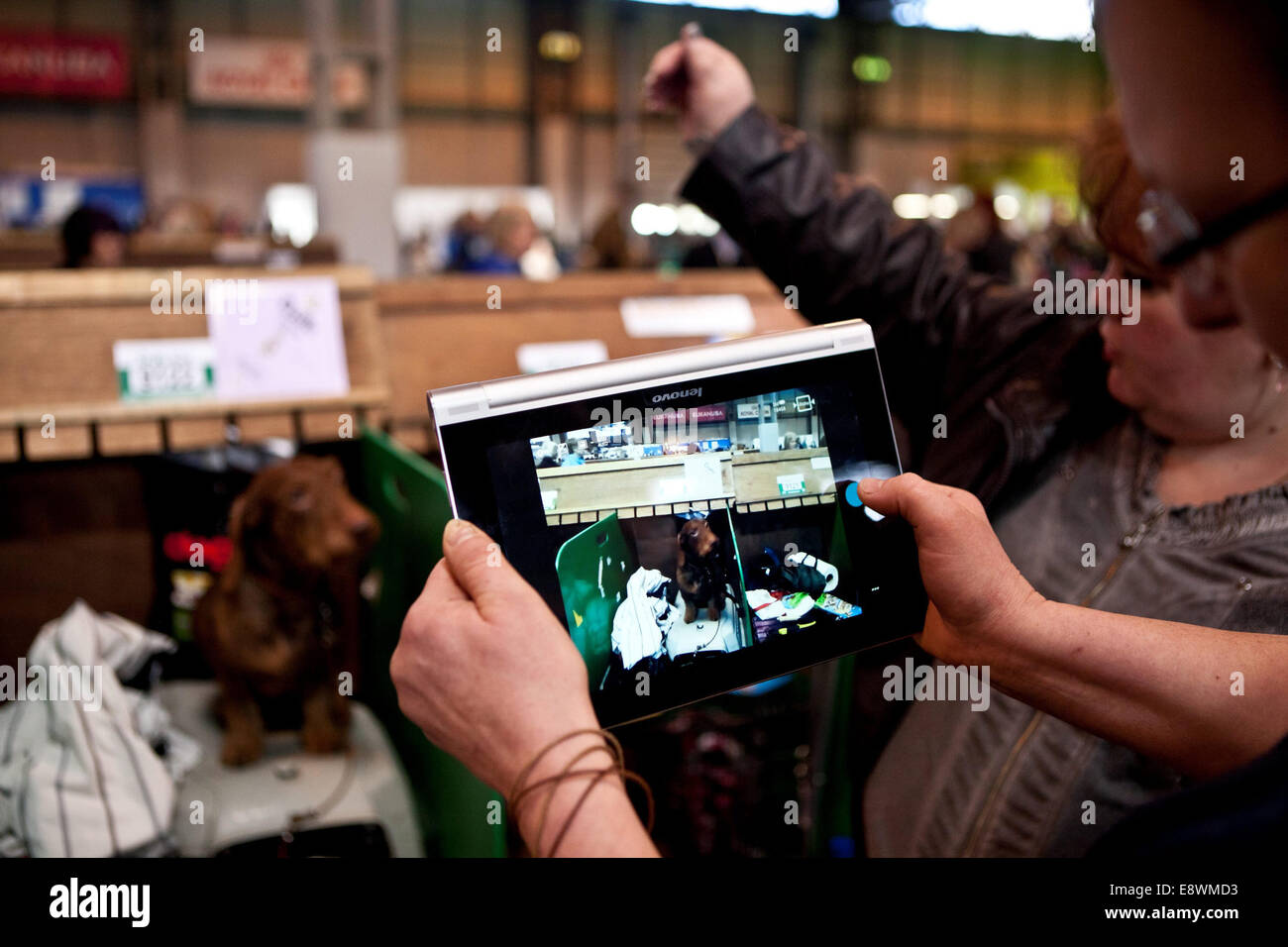A woman takes a picture of her dog at Crufts 2014 at the NEC in Birmingham. 7th March 2014. Stock Photo