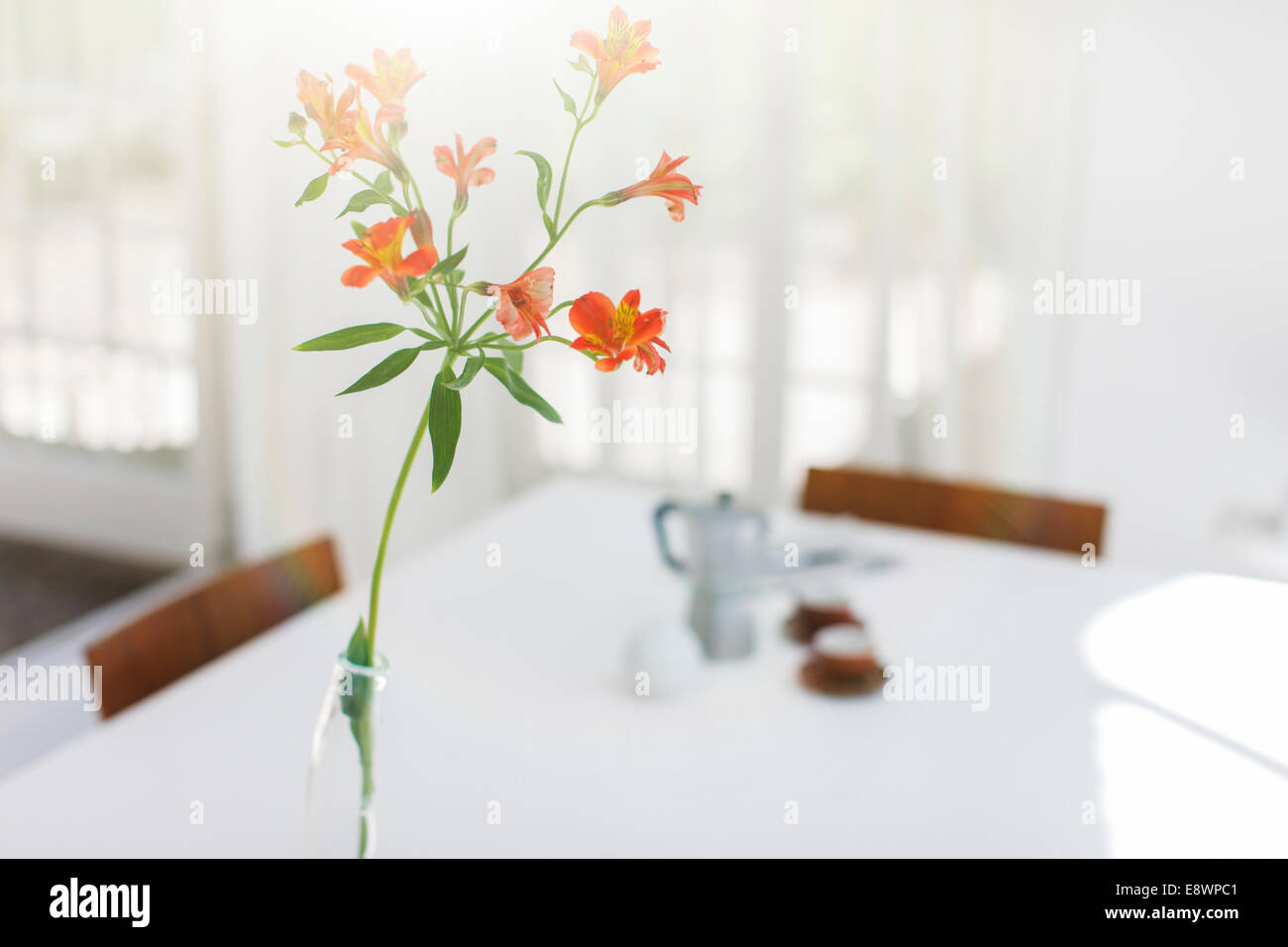 Close up of flower in vase on dining room table Stock Photo
