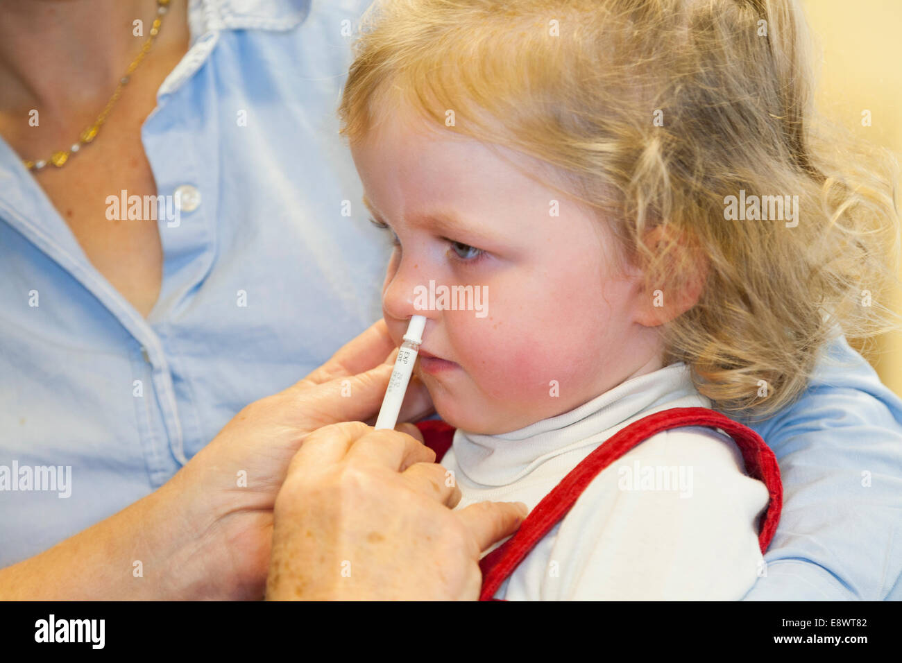 2 year old child, with her mum / mother, receives dose of Fluenz flu vaccine nasal spray immunisation from NHS Practice nurse UK Stock Photo