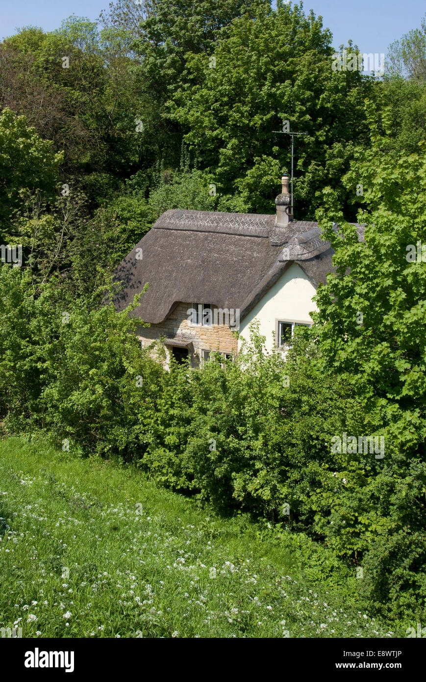 Thatched cottage at the back of the 14th century Farleigh Hungerford Castle, Somerset, England Stock Photo