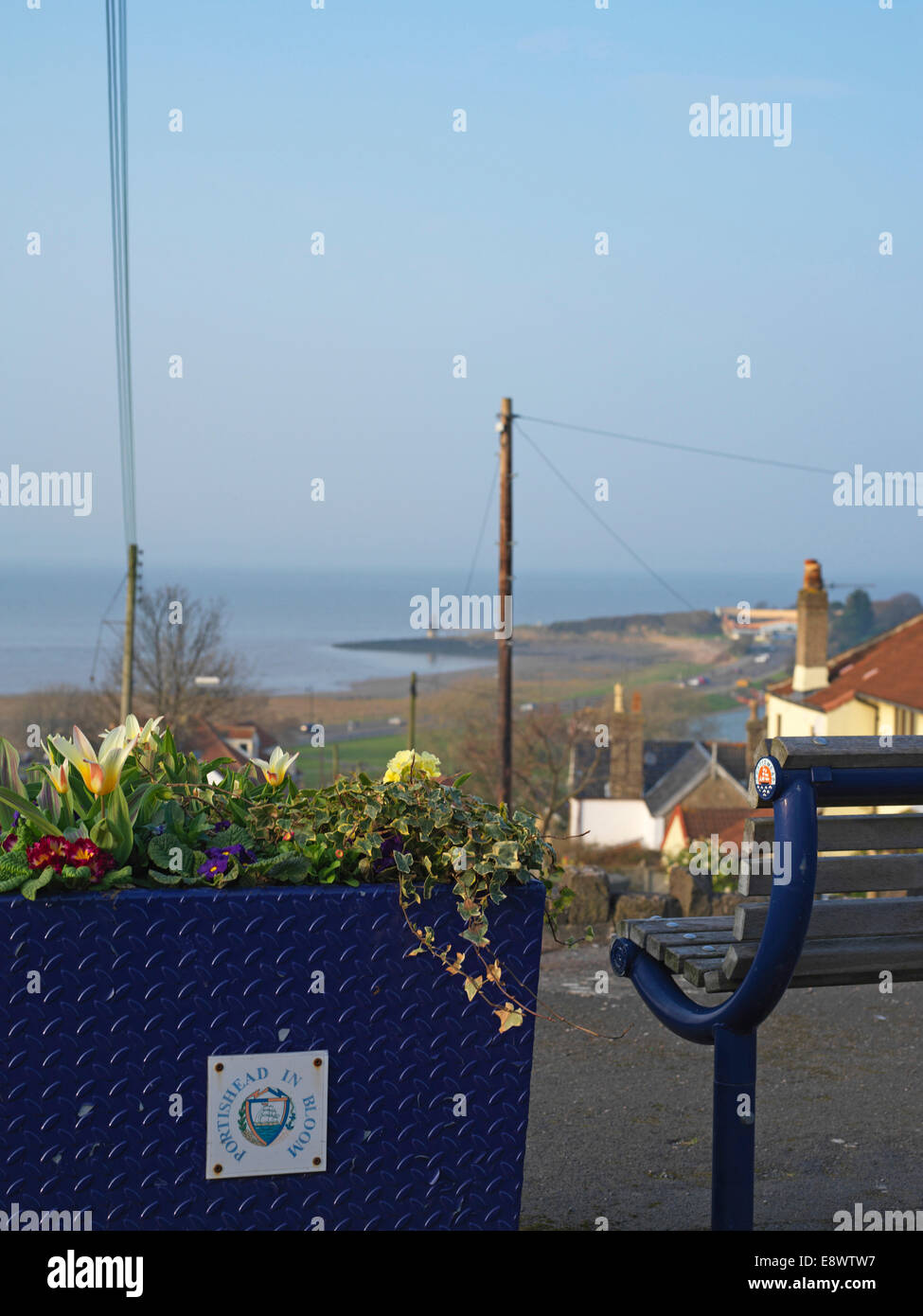 Severn estuary plants hi-res stock photography and images - Alamy