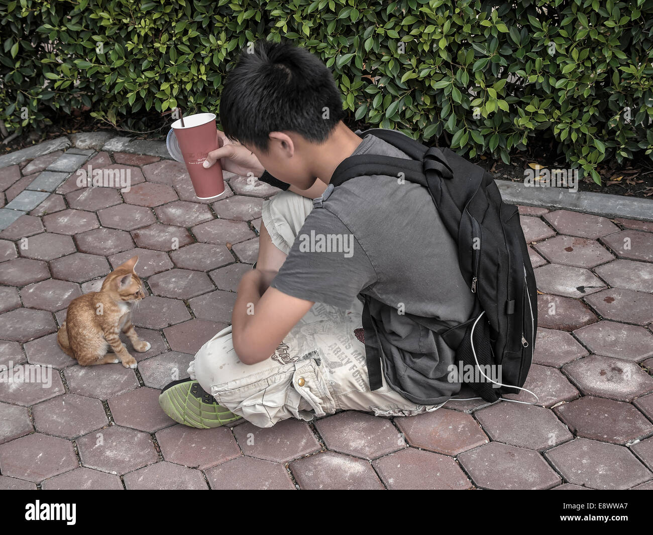 Young boy and his pet kitten. Human animal interaction. boy with cat Stock Photo