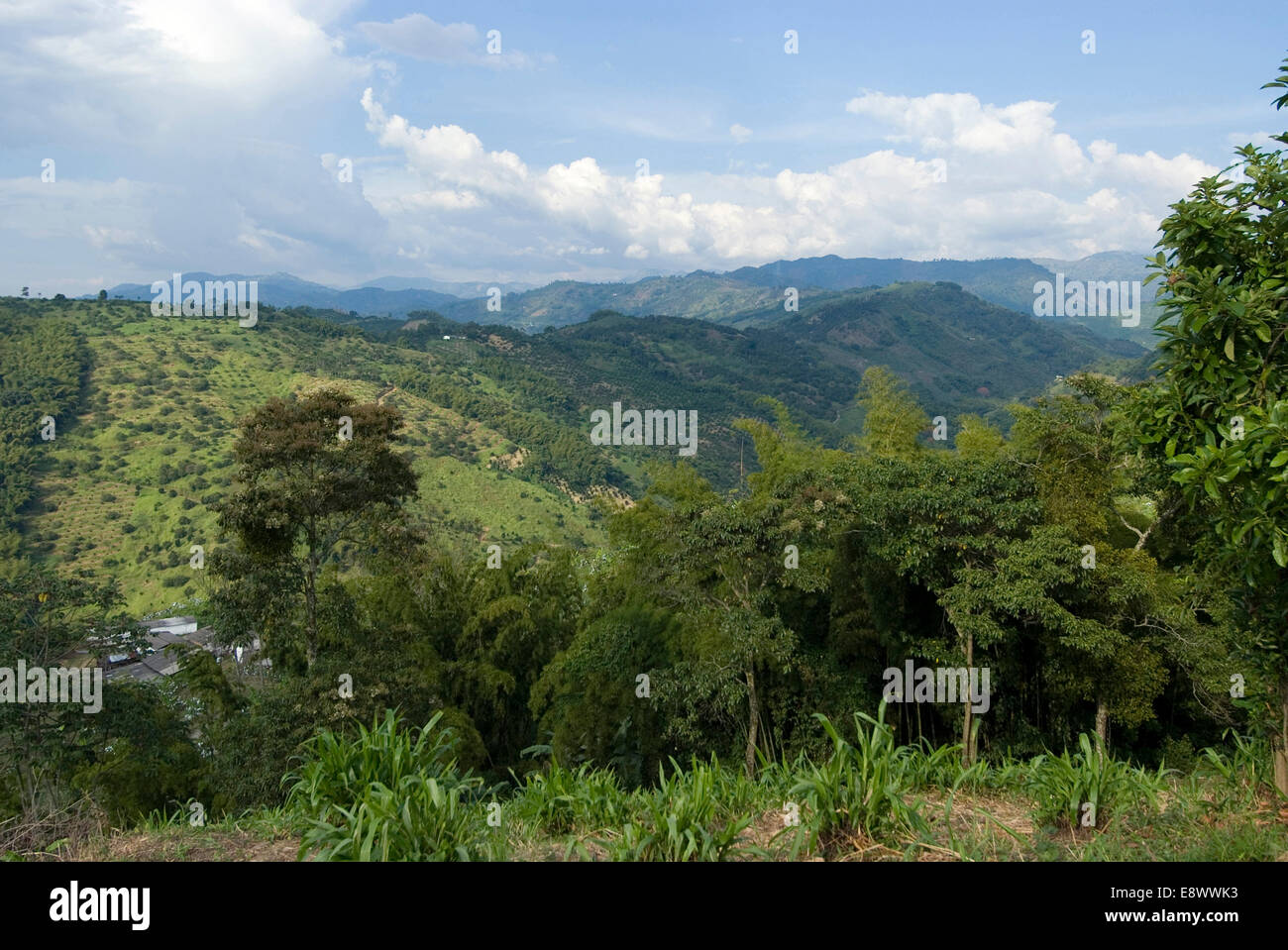 Hacienda El Caney (plantation), in the coffee-growing region, near Manizales, Colombia Stock Photo