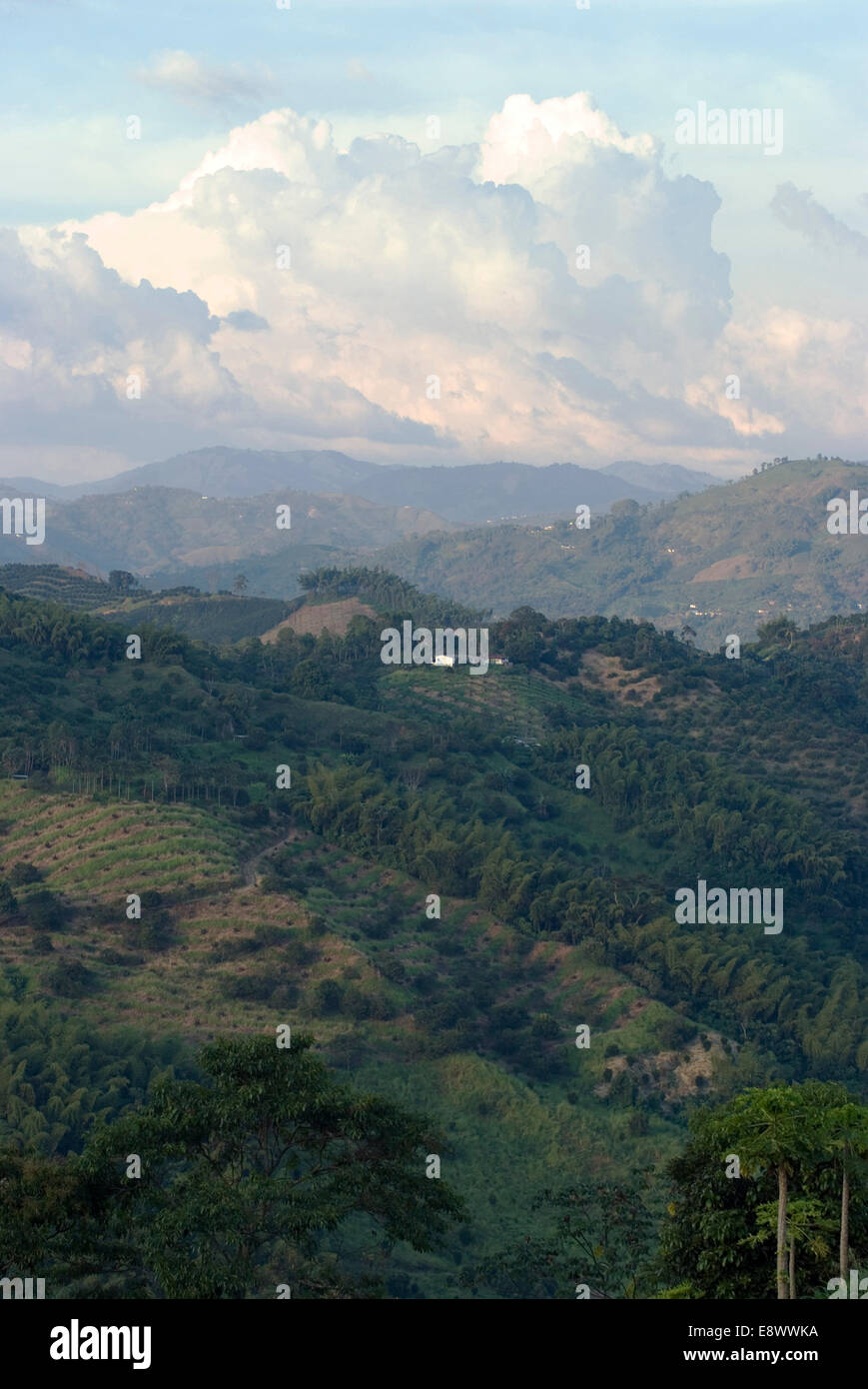 View near Manizales (city in the coffee-growing region), Colombia Stock Photo