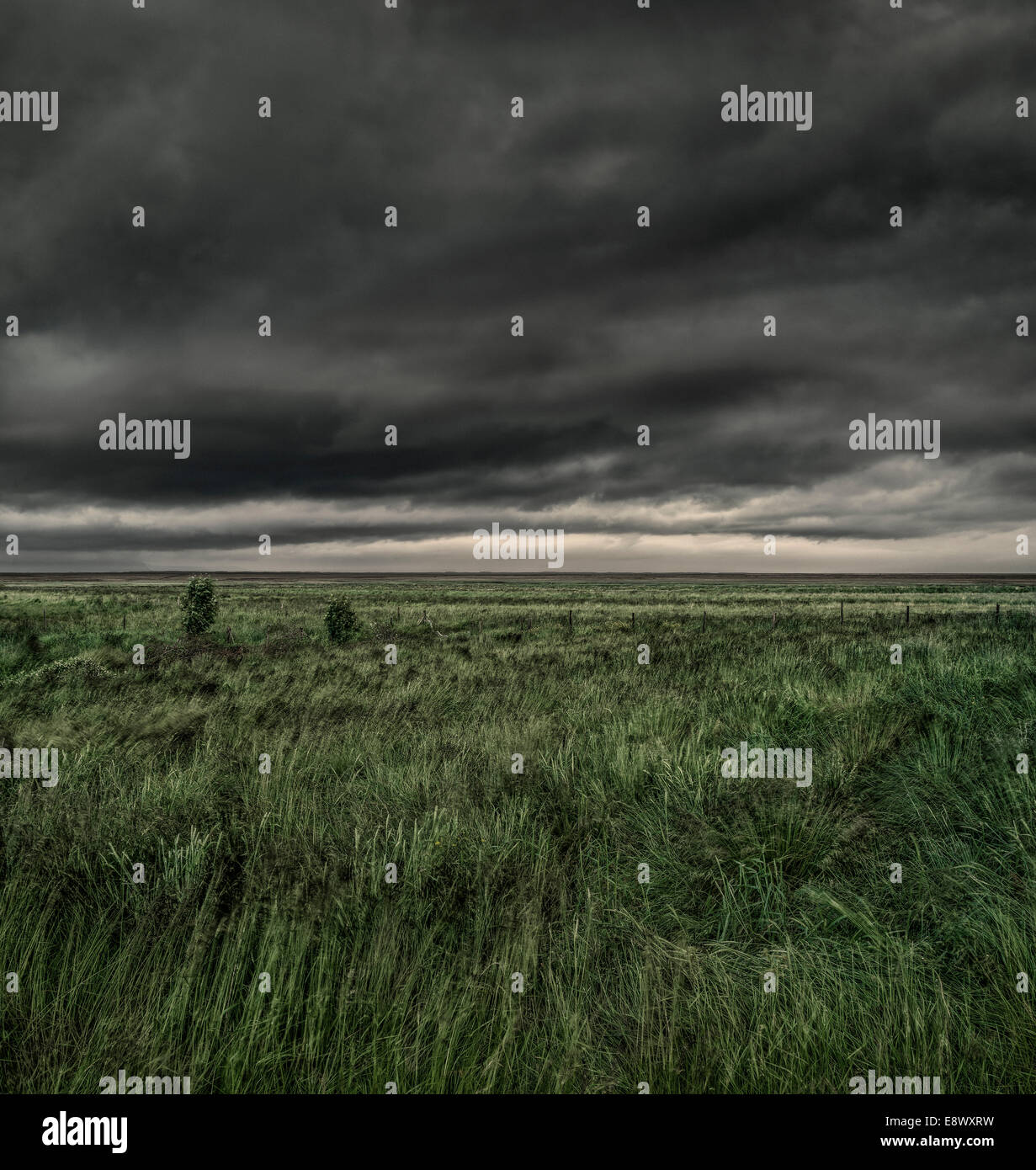 Storm clouds over grasslands, Snaefellsnes Peninsula, Iceland Stock ...