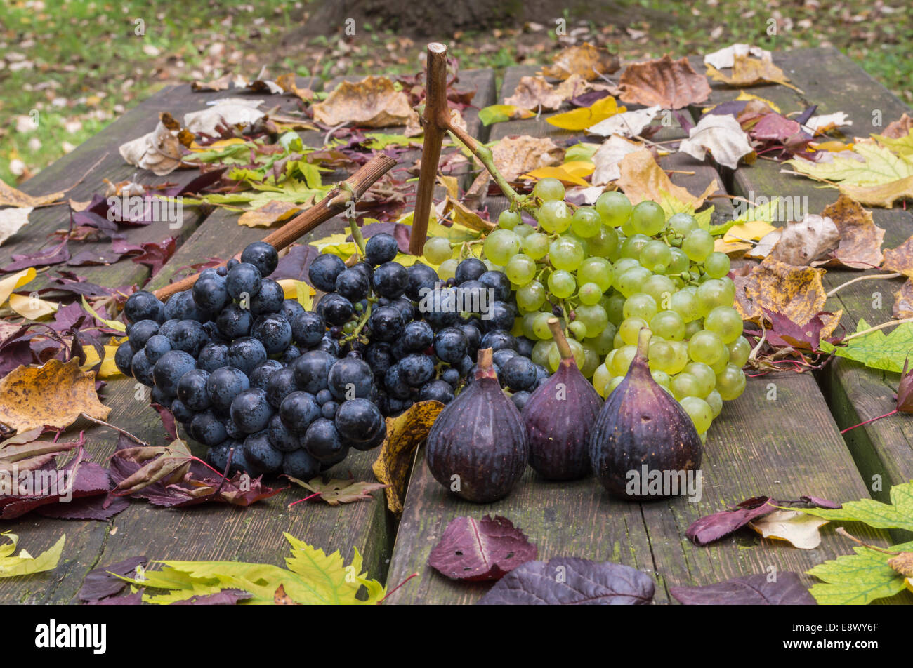 Autumn fruits: grapes and figs on a wooden table and autumn leaves Stock Photo