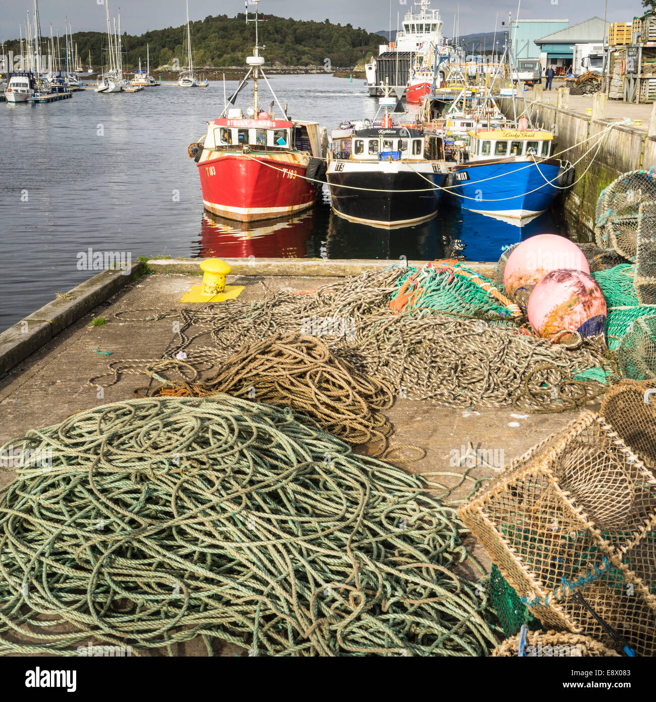 Tarbert Fish North east scotland nets hi-res stock photography and images - Alamy