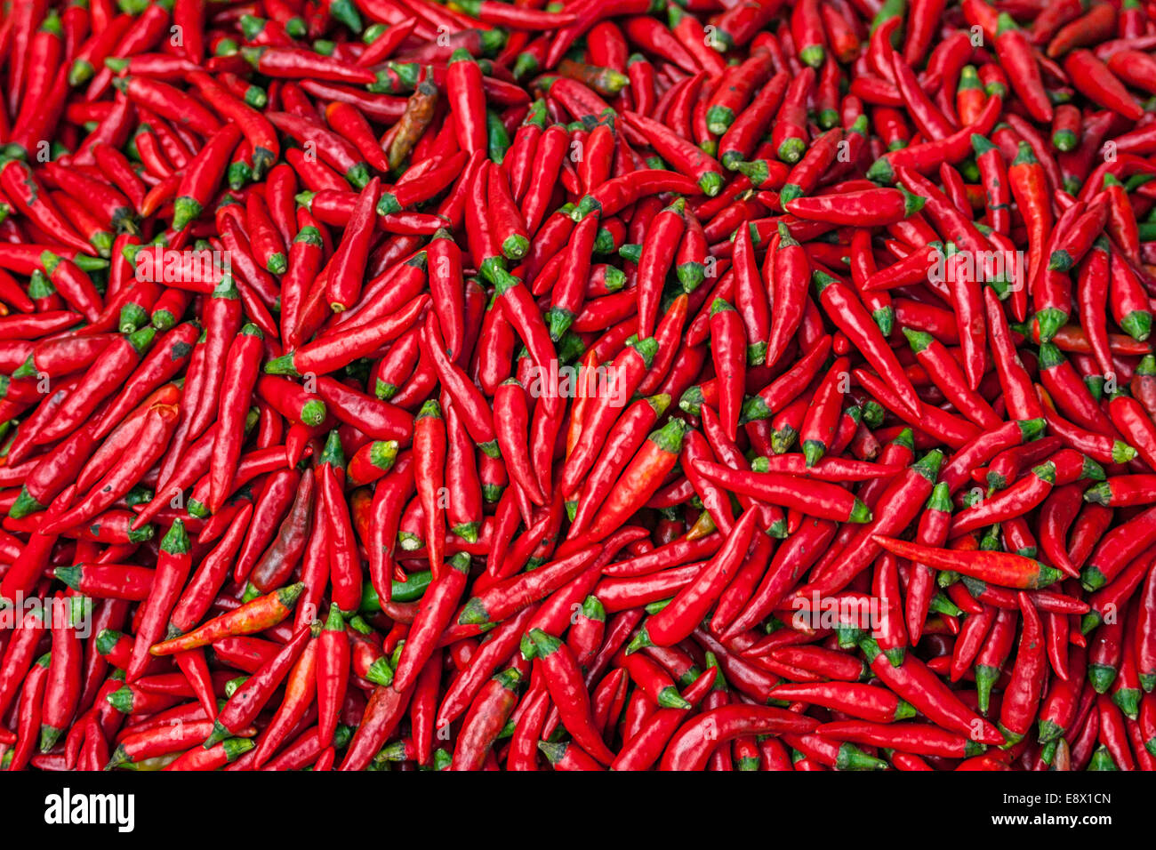 Multiple hot peppers hi-res stock photography and images - Alamy