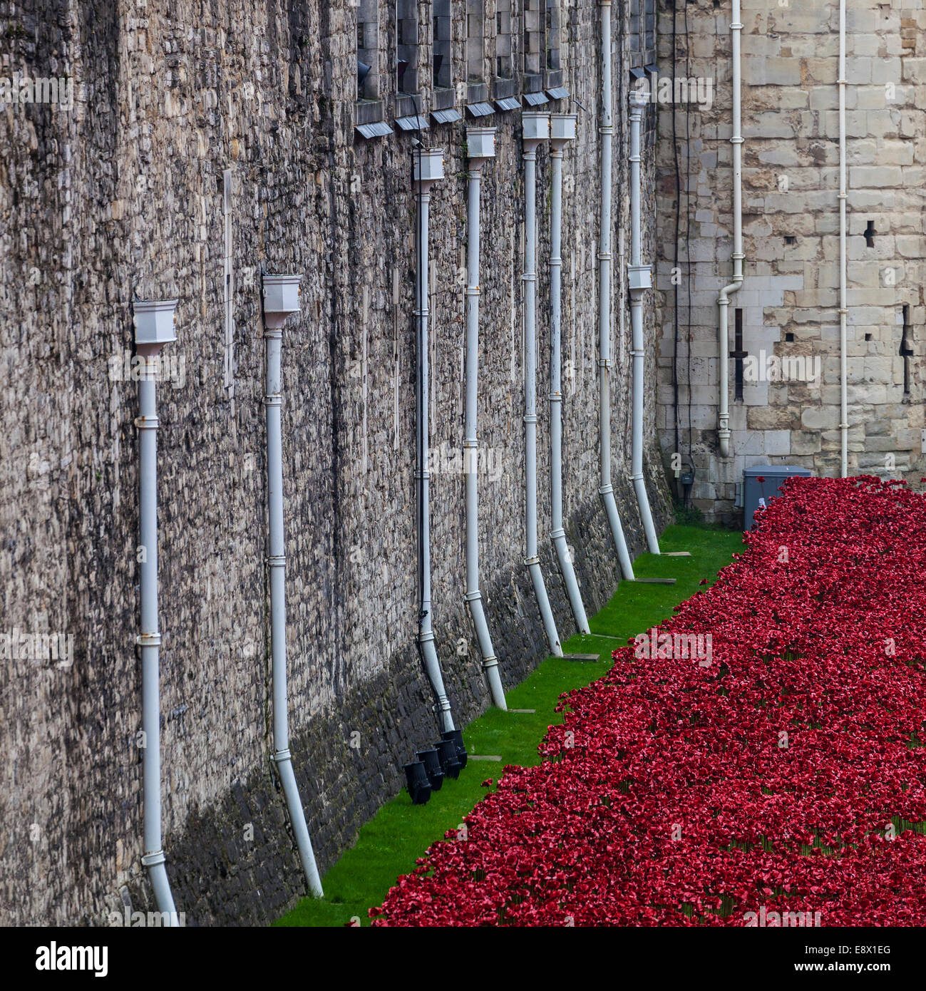Tower of london moat hi-res stock photography and images - Alamy