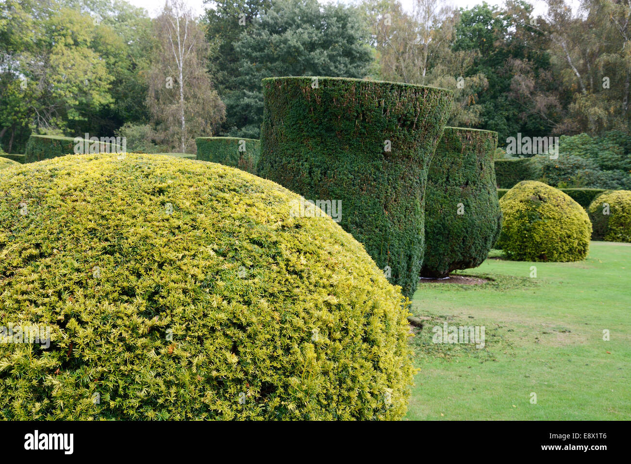 Shaped hedges hires stock photography and images Alamy