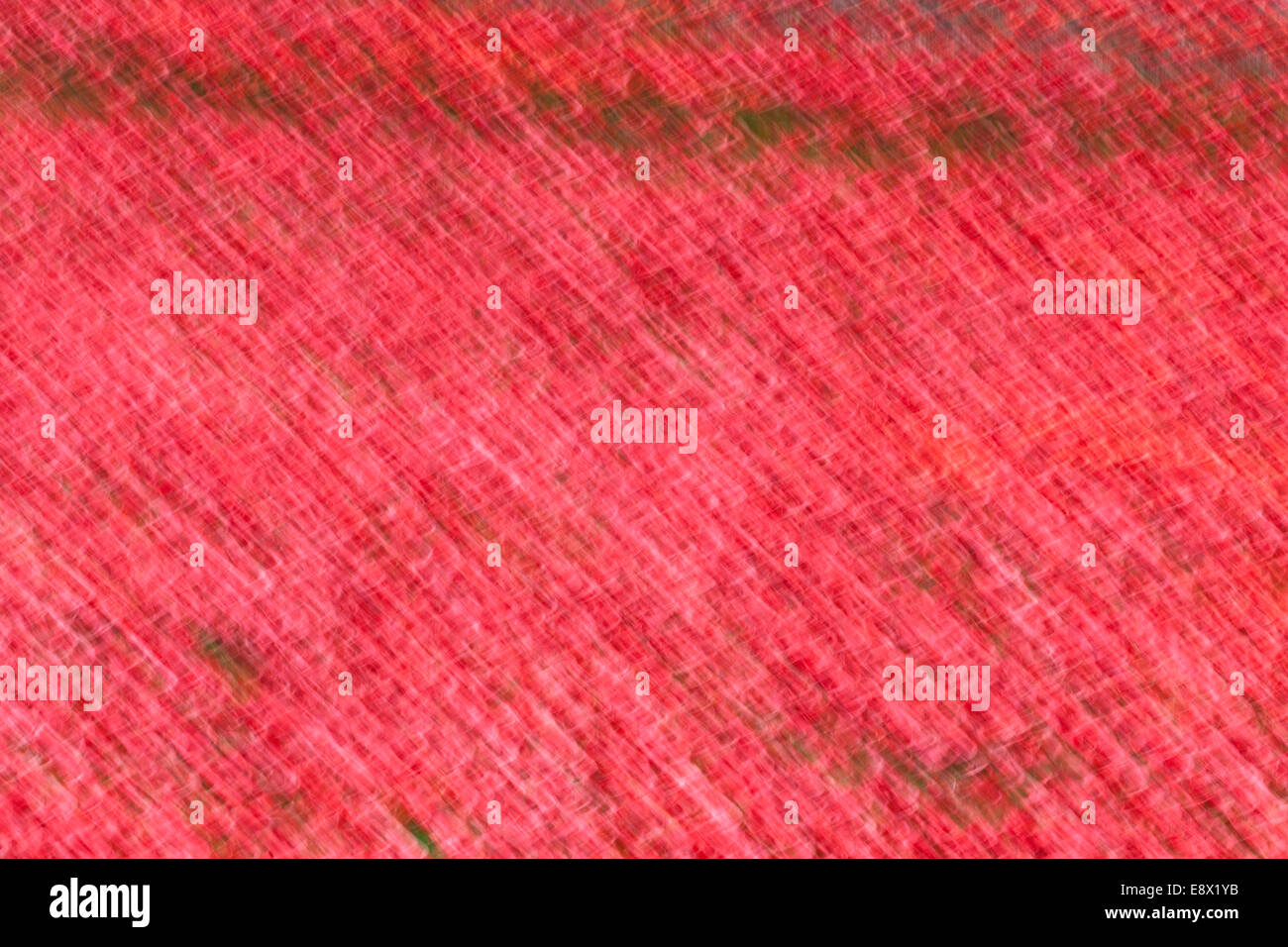 Abstract art poppies hi-res stock photography and images - Alamy