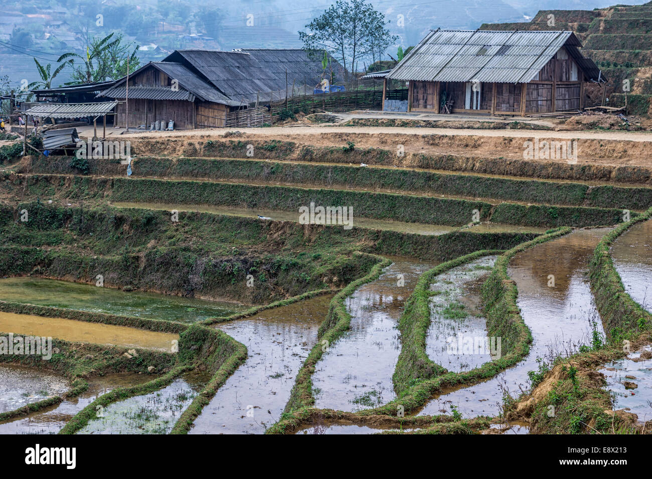 Submerged paddies stacked upon each other against brown gray farm buildings. Stock Photo