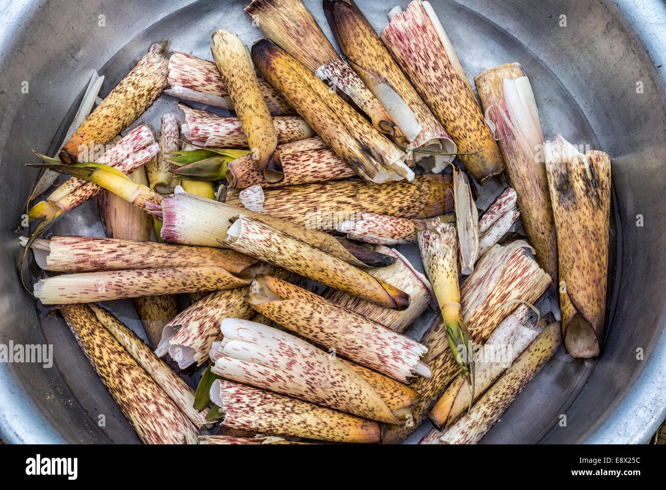 Bamboo sheath hires stock photography and images Alamy