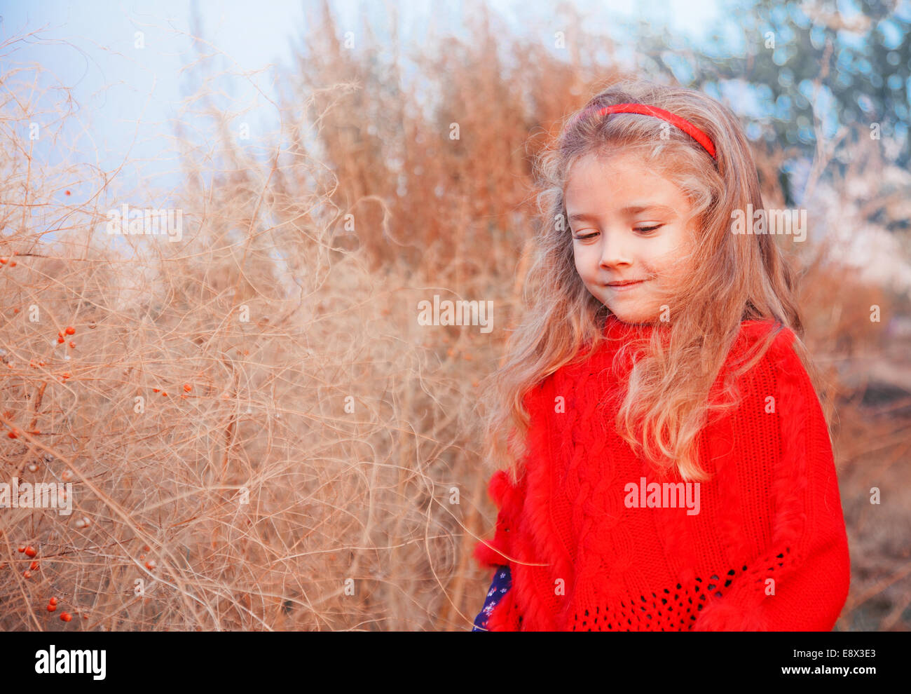 Girl in a red poncho on a background of autumn landscape Stock Photo