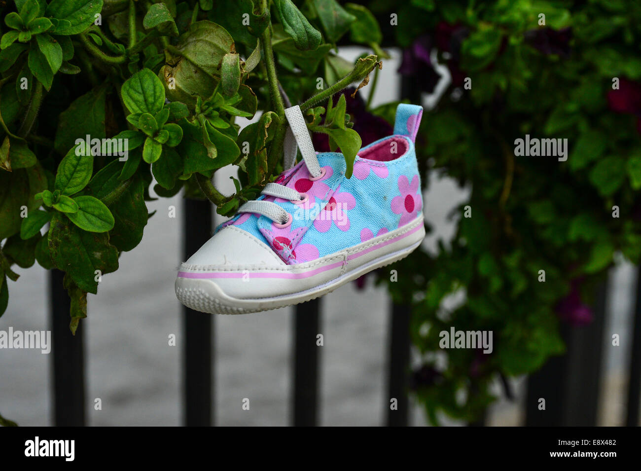 Stock Photo - Child's shoe hanging from outdoor plant display, Derry, Londonderry, Northern Ireland. ©George Sweeney /Alamy Stock Photo