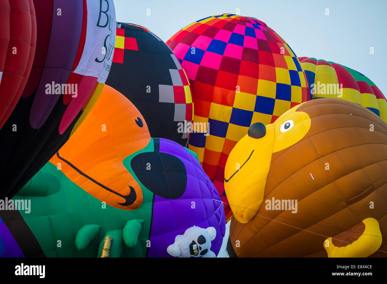 Hot air balloons at the 2014 National Hot Air Balloon Classic in ...
