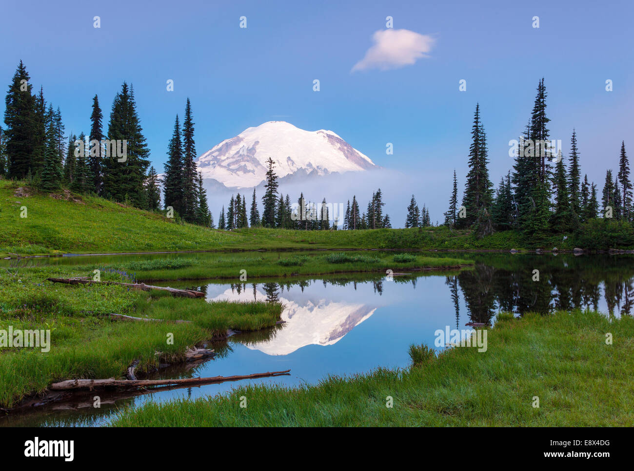 Mount Rainier National Park, WA Twilight on Mount Rainier from Upper Tipsoo Lake Stock Photo