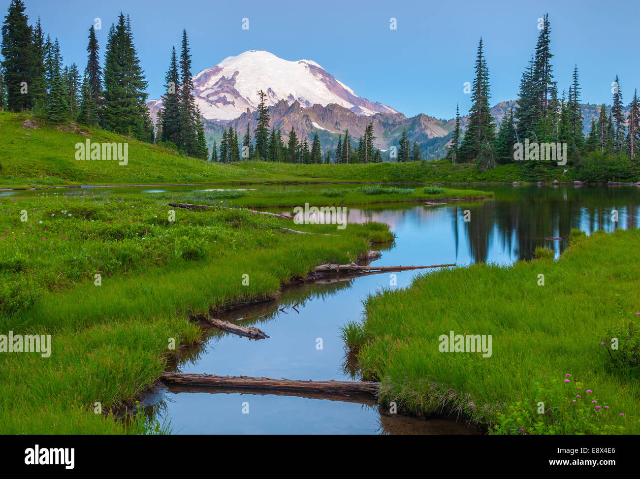 Mount Rainier National Park, WA Twilight on Mount Rainier from Upper Tipsoo Lake Stock Photo