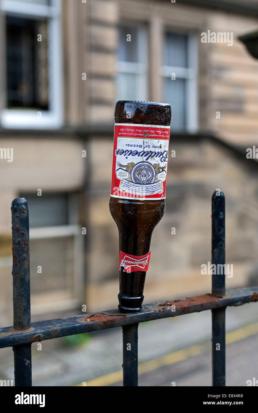 The morning after - an empty bottle of Budweiser beer deposited on ...